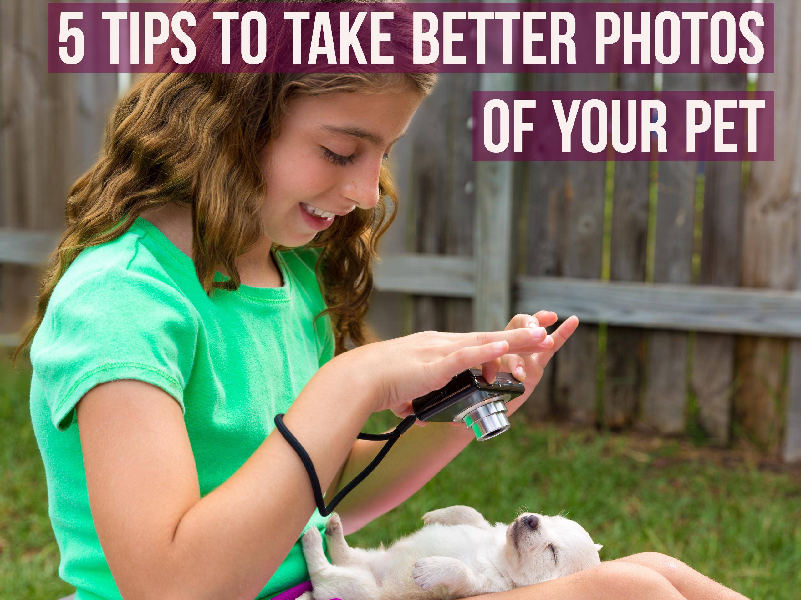 5 Tips To Take Better Photos of Your Pet